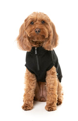 Cambridge Sweater - Black by FuzzYard
