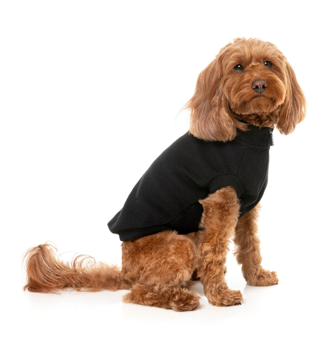 Cambridge Sweater - Black by FuzzYard