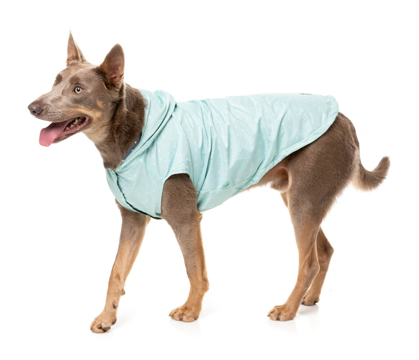 Flipside 24 Raincoat - Mint by FuzzYard
