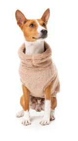 Turtle Teddy 24 Sweater - Chai by FuzzYard
