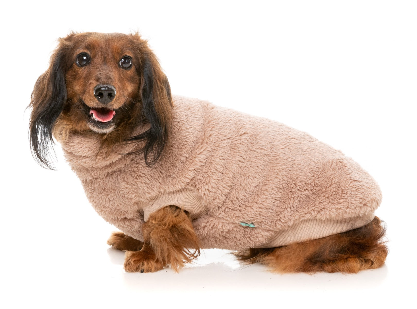 Turtle Teddy 24 Sweater - Chai by FuzzYard