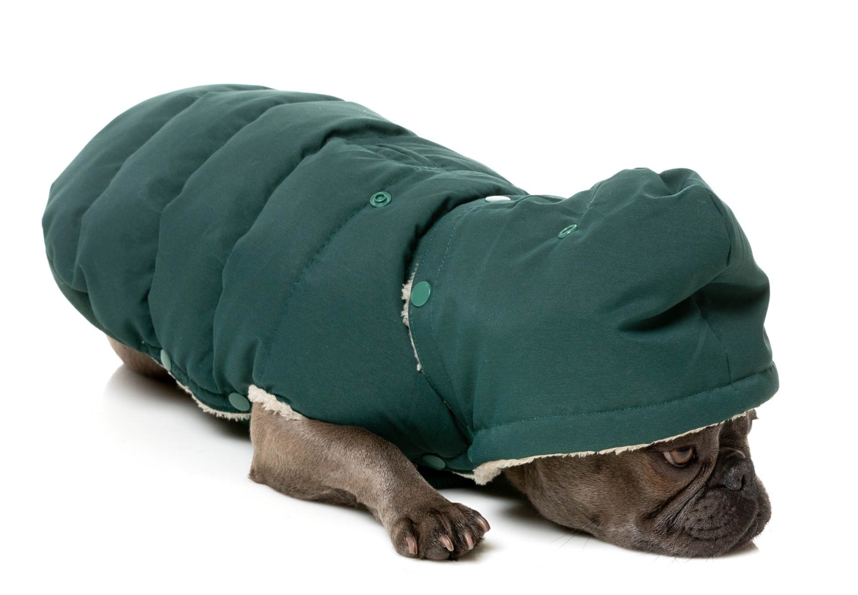 Essential Puffer Jacket - Forest Green by FuzzYard