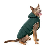 Essential Puffer Jacket - Forest Green by FuzzYard