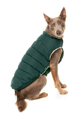 Essential Puffer Jacket - Forest Green by FuzzYard