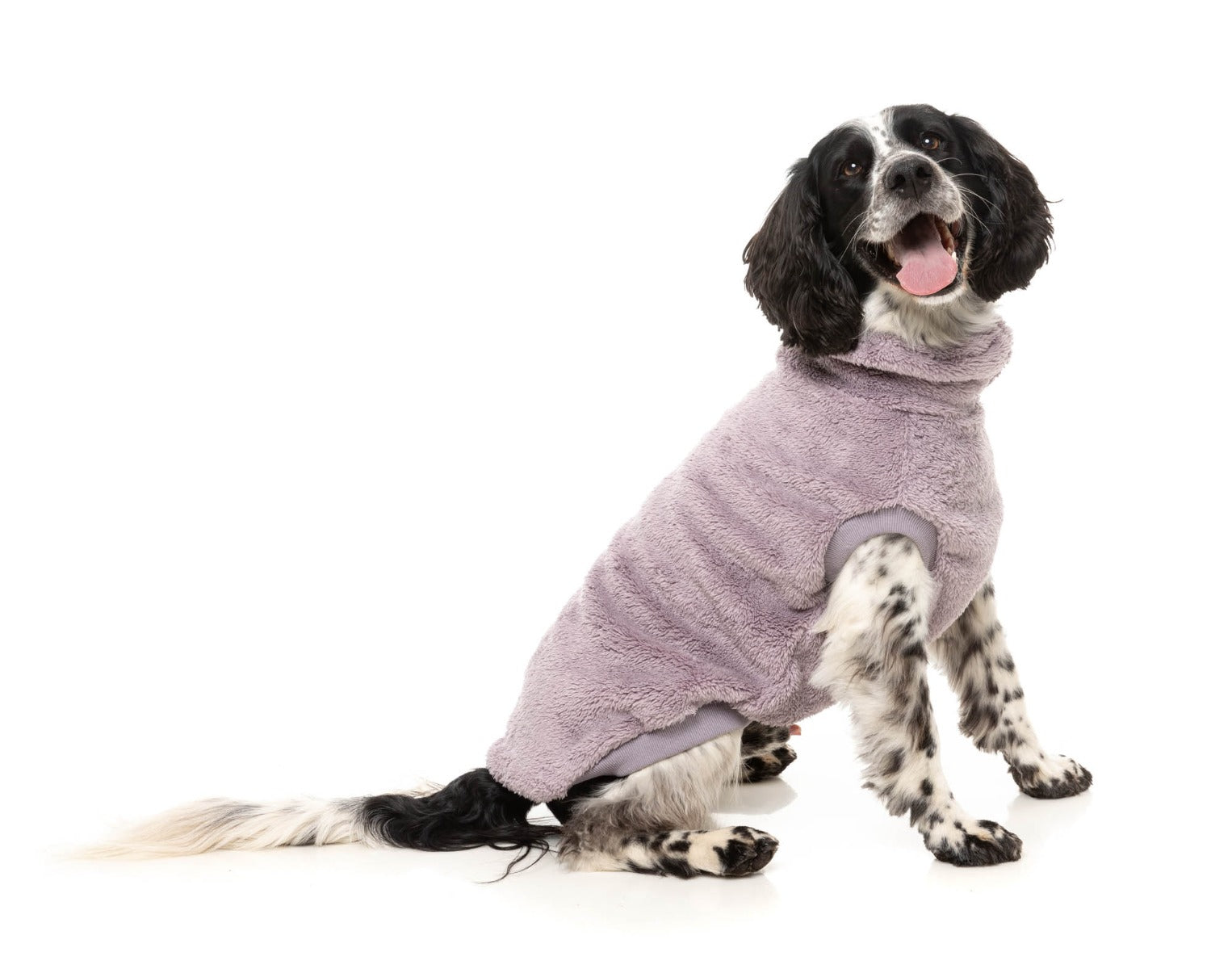 Turtle Teddy 25 Sweater by FuzzYard
