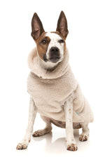 Turtle Teddy 25 Sweater by FuzzYard