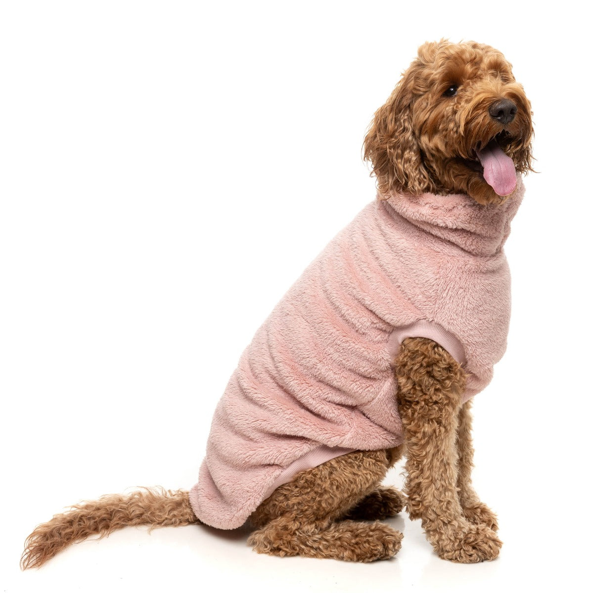 Turtle Teddy 25 Sweater by FuzzYard