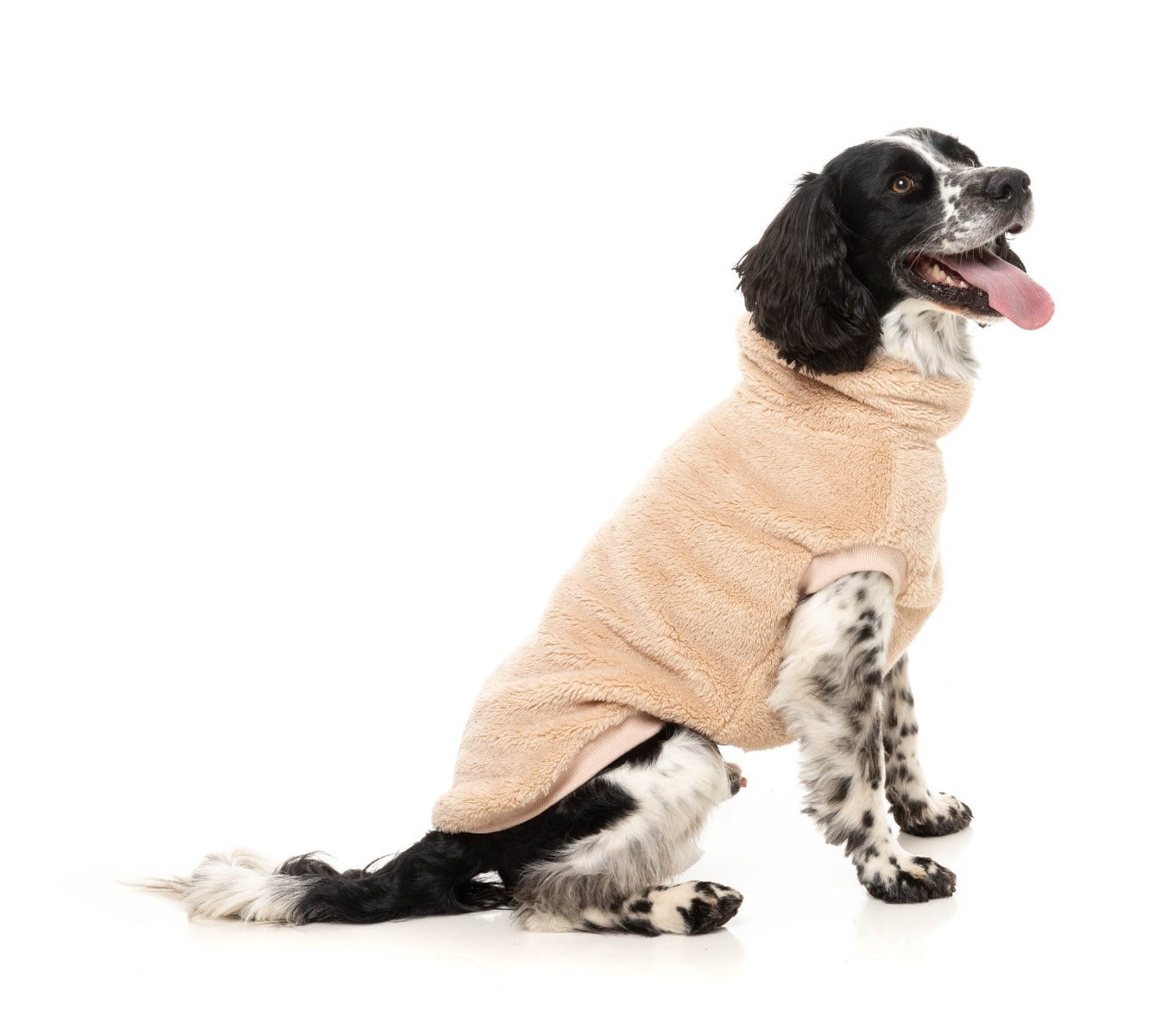 Turtle Teddy 25 Sweater by FuzzYard