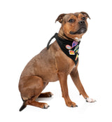 Rep It - Merit Bandana