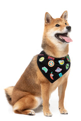 Rep It - Merit Bandana