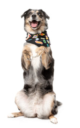 Rep It - Merit Bandana