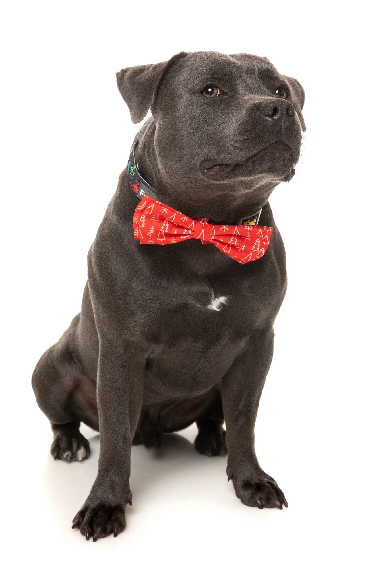 Festive Trees Bowtie