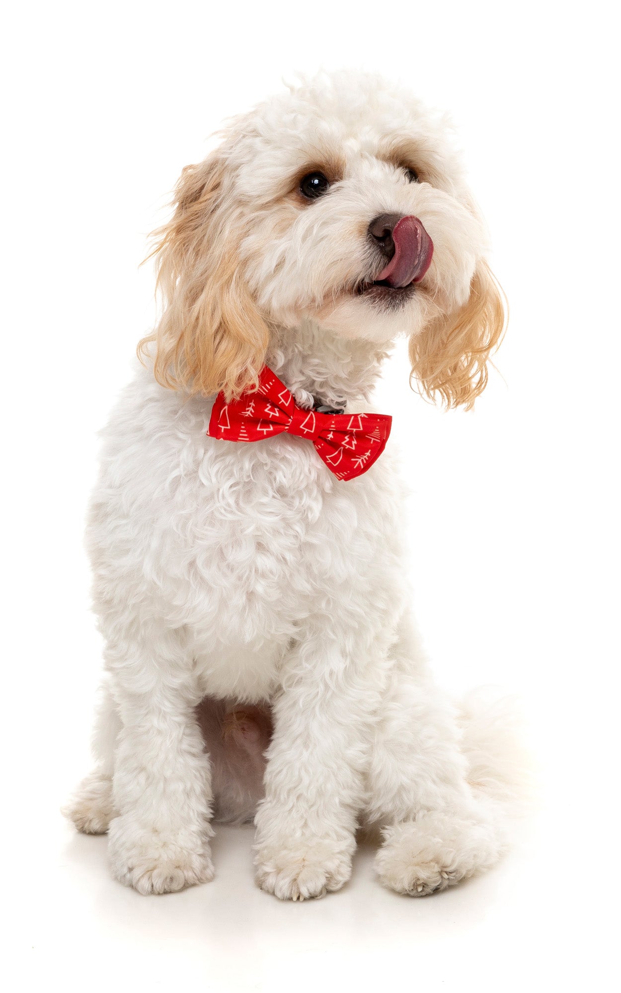 Festive Trees Bowtie