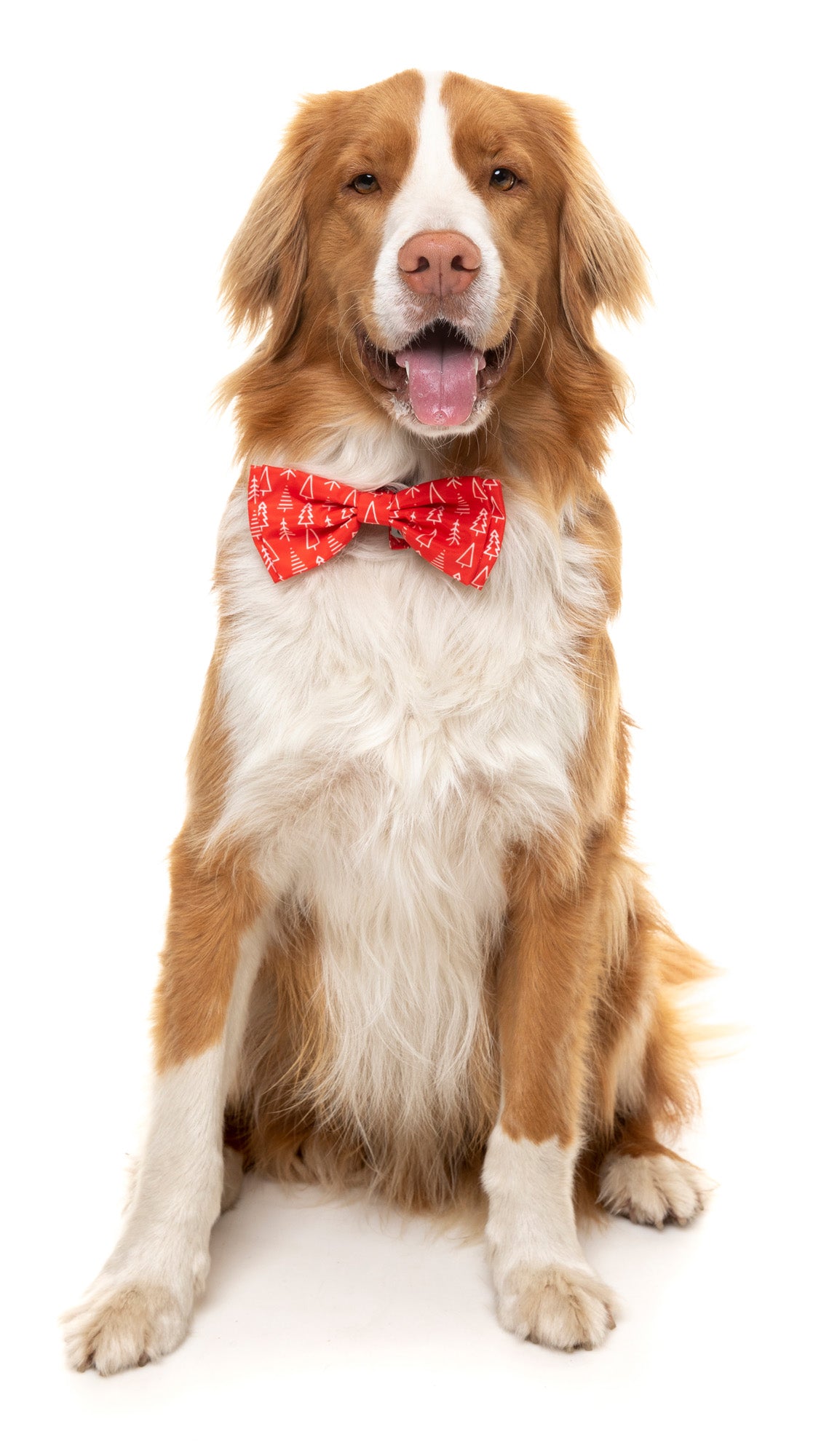 Festive Trees Bowtie