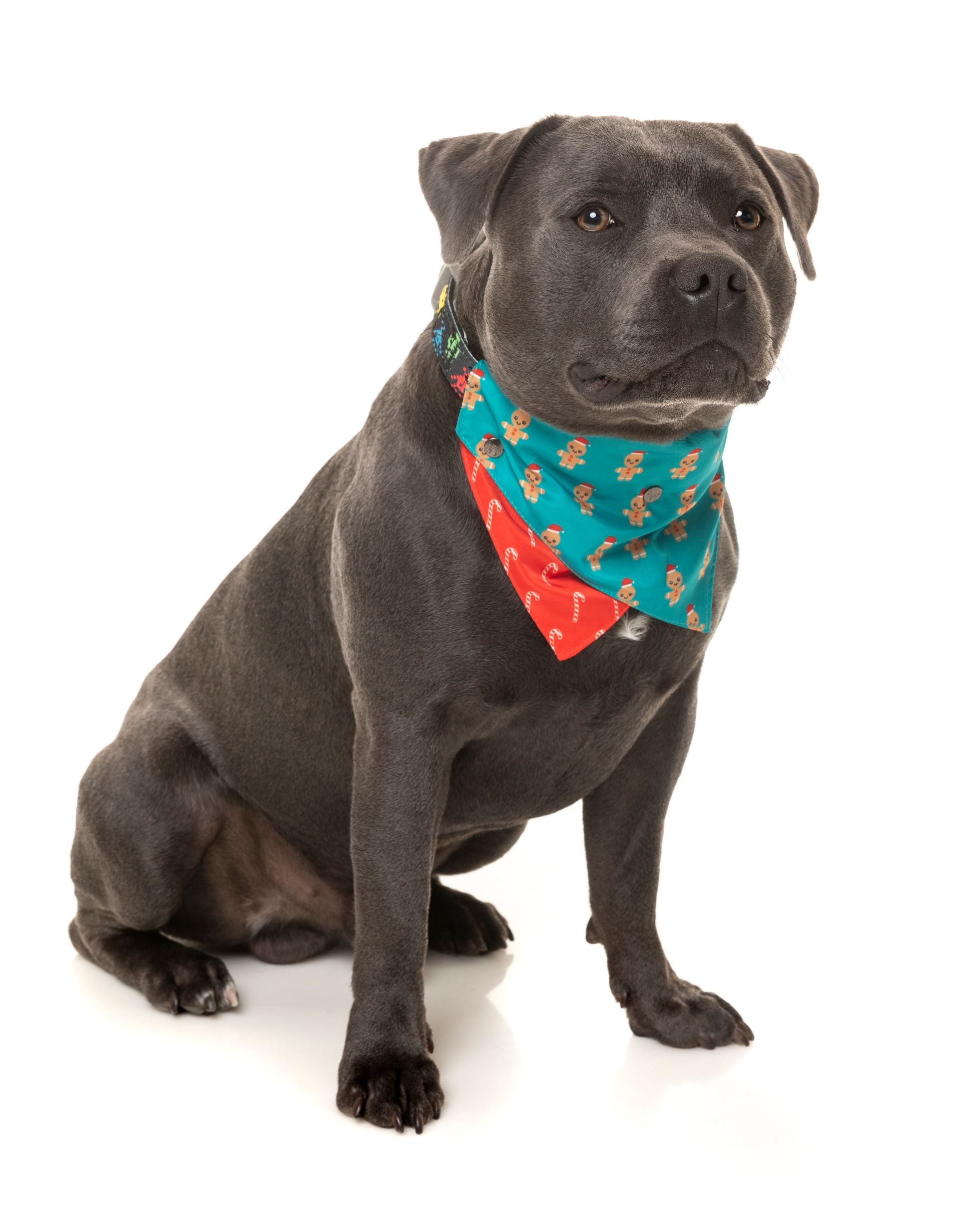 Gingerbread Man Bandana