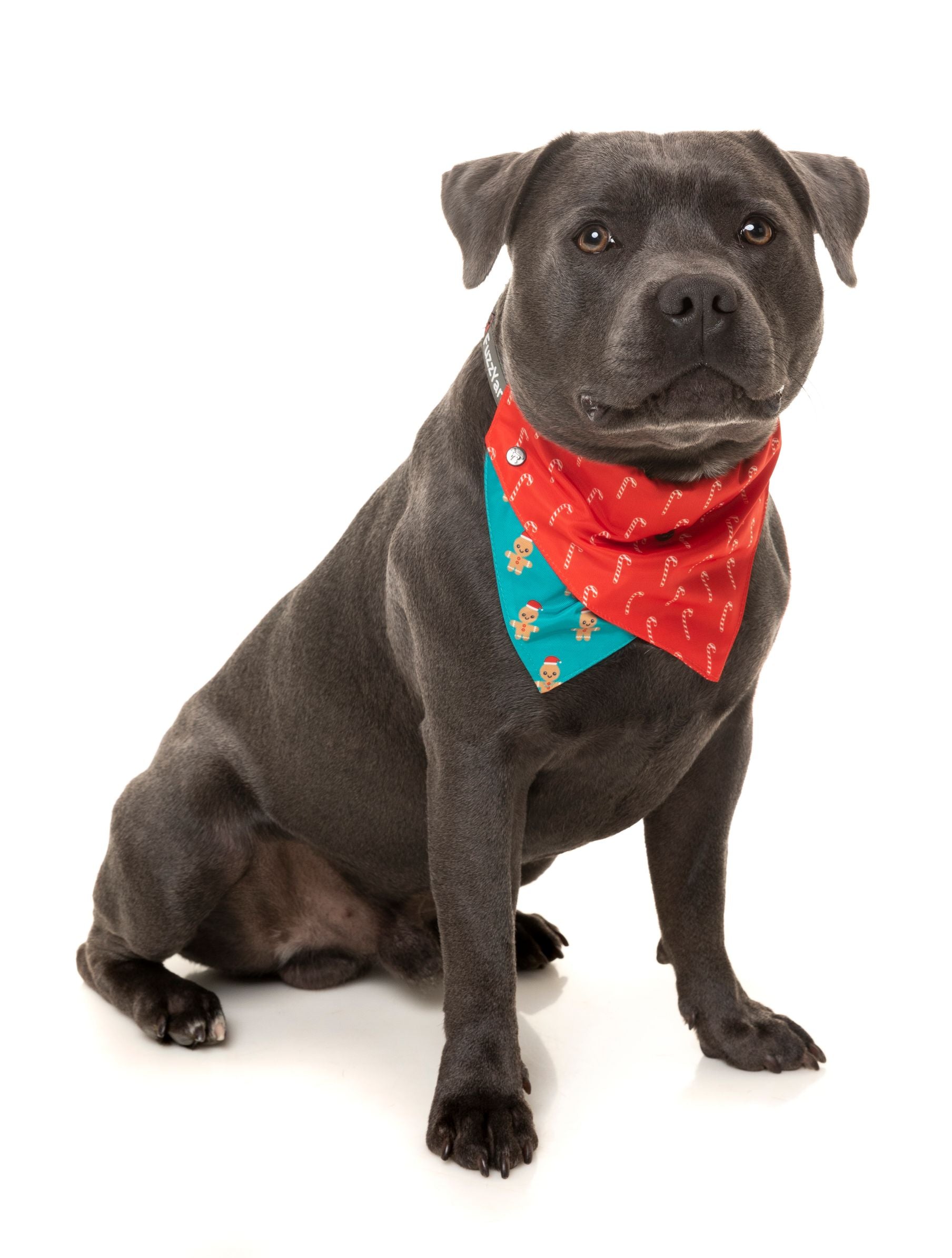 Gingerbread Man Bandana