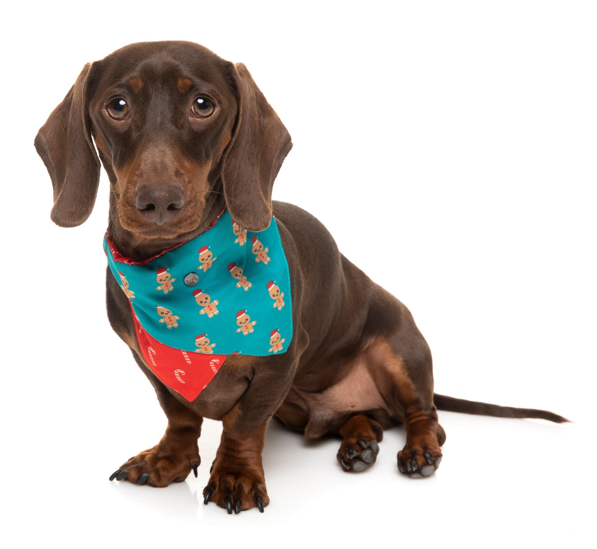 Gingerbread Man Bandana