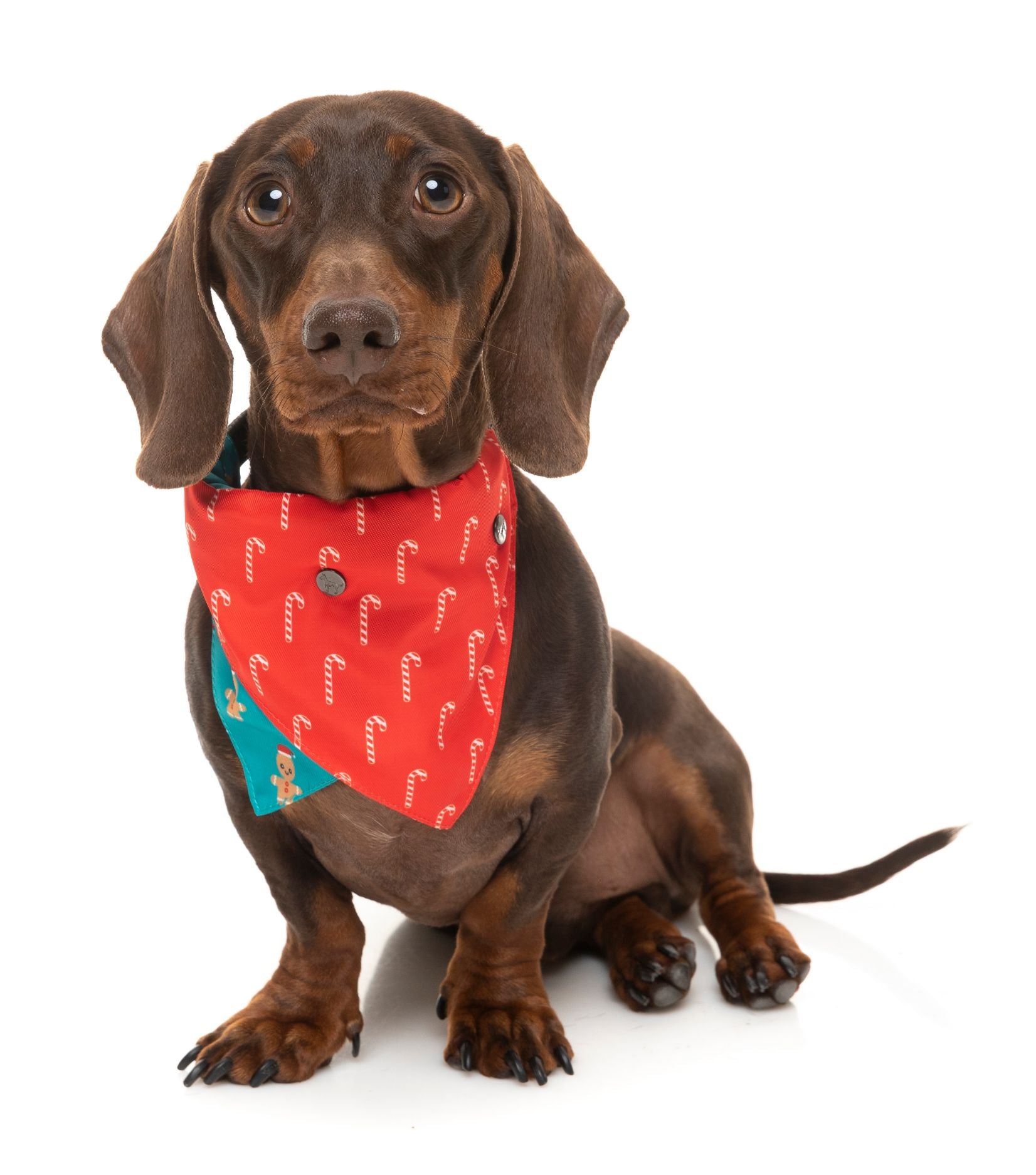 Gingerbread Man Bandana