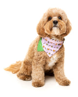 SuShiba Bandana
