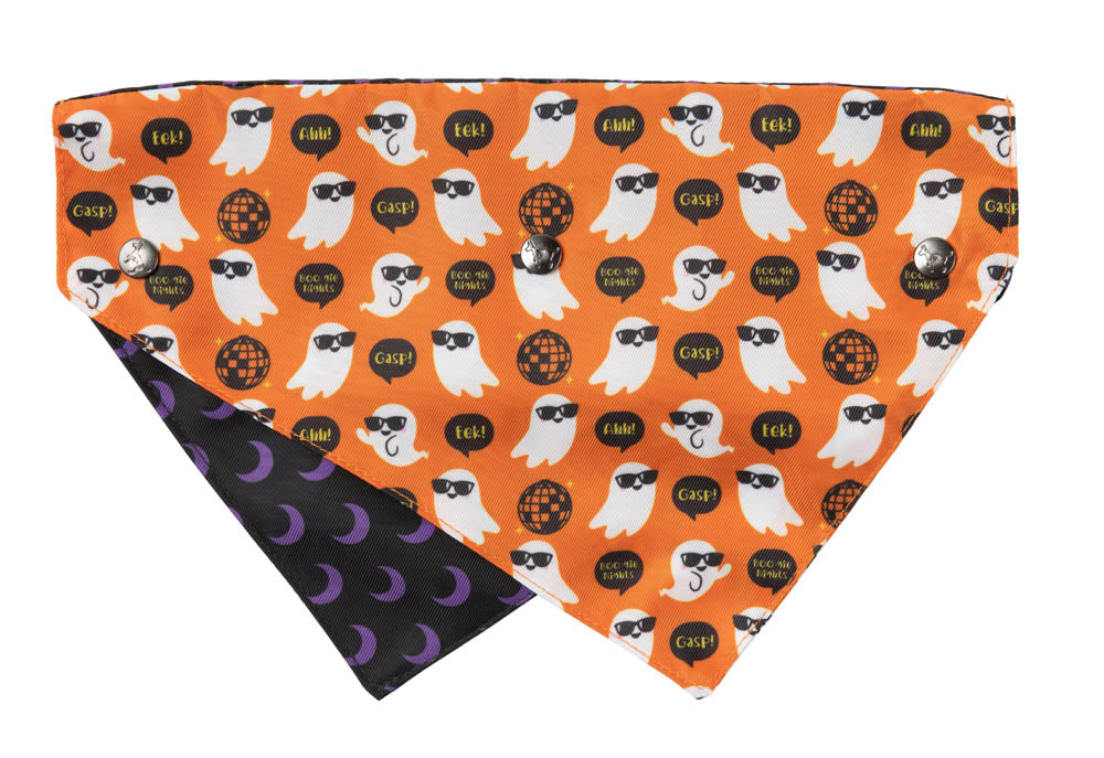 Boogie Nights - Bandana - Halloween Pet Accessory by FuzzYard