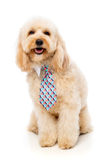Monsieur Guava Necktie
