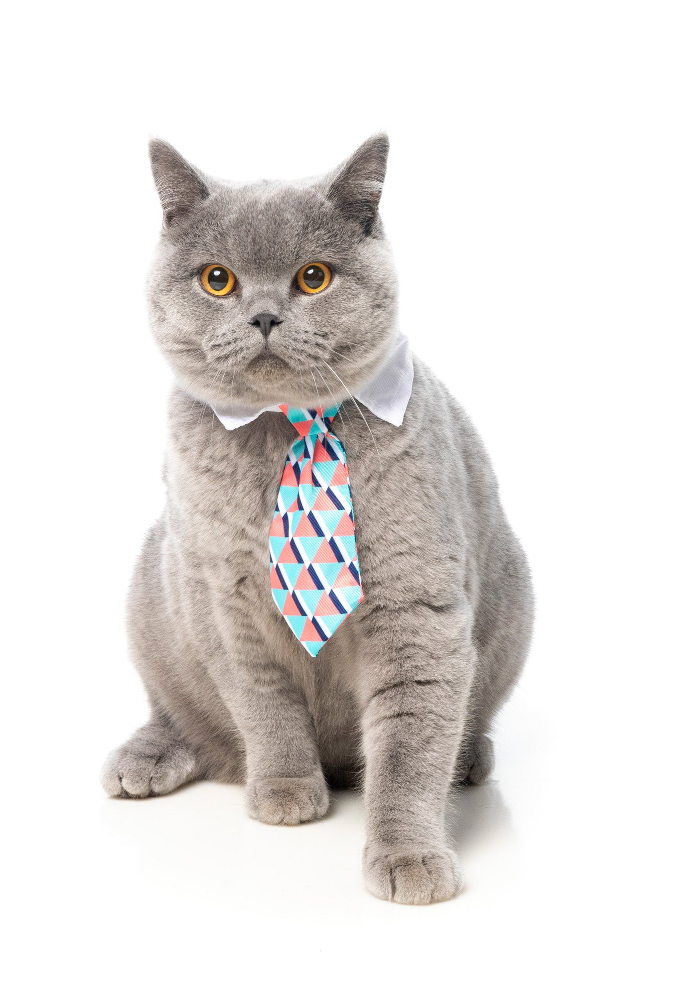 Monsieur Guava Necktie