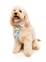 Lord Carnaby Necktie