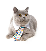 Lord Carnaby Necktie