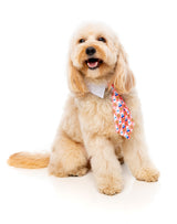 Sir Sleepy Time Necktie