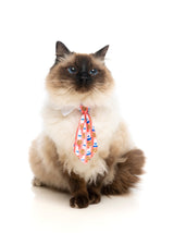 Sir Sleepy Time Necktie