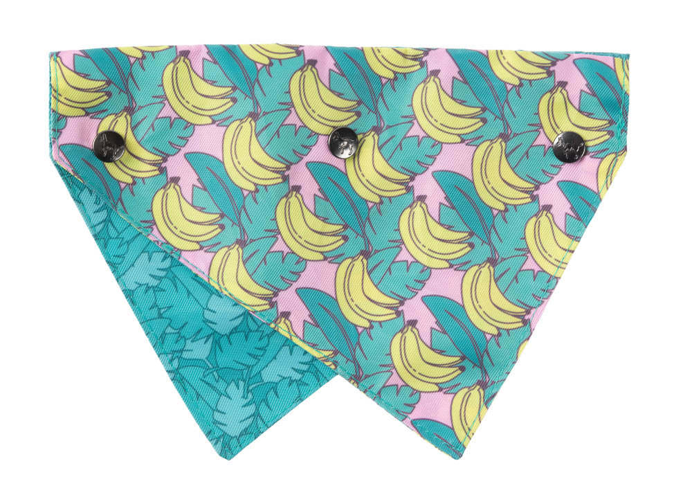 Bananarama - Bandana by FuzzYard
