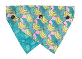 Bananarama - Bandana by FuzzYard