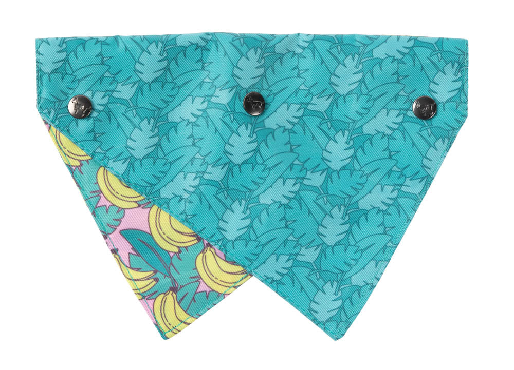 Bananarama - Bandana by FuzzYard