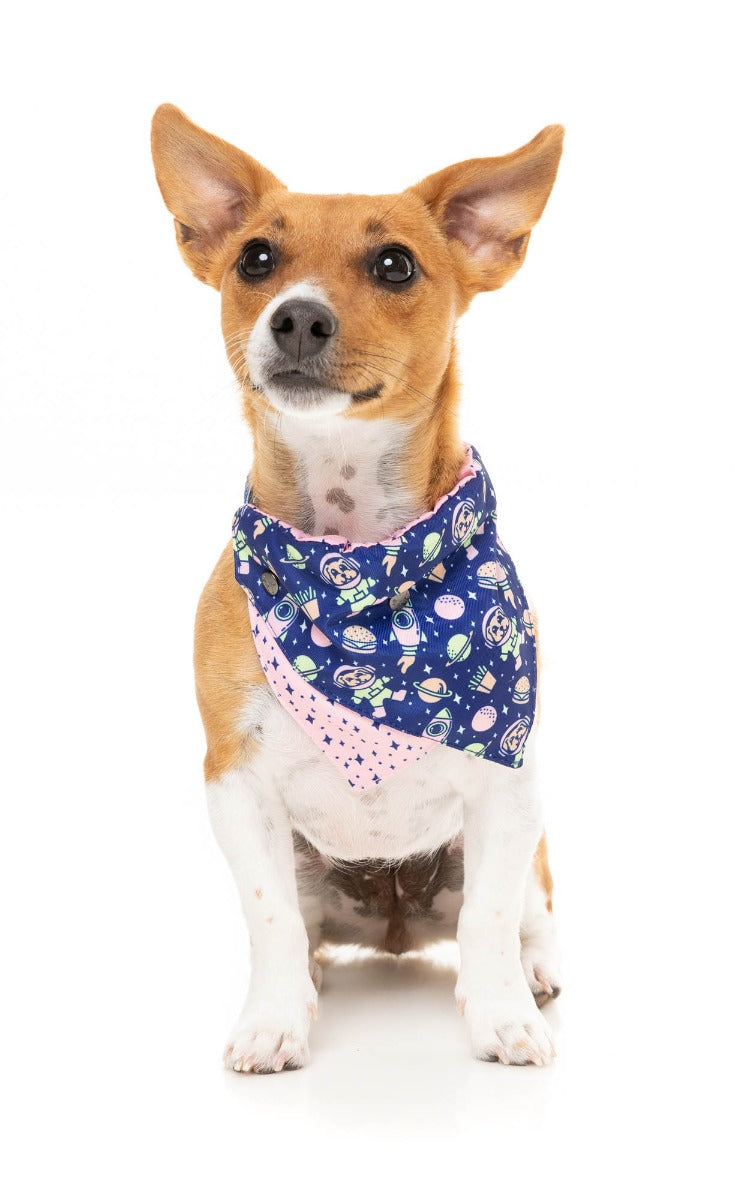 Pluto Pup - Bandana by FuzzYard