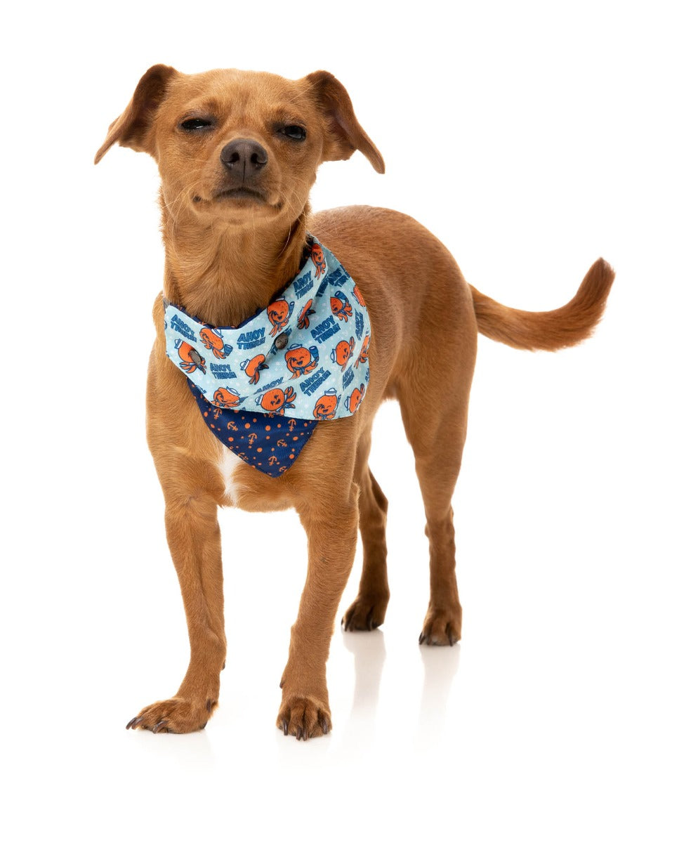 Ahoy There! - Bandana by FuzzYard