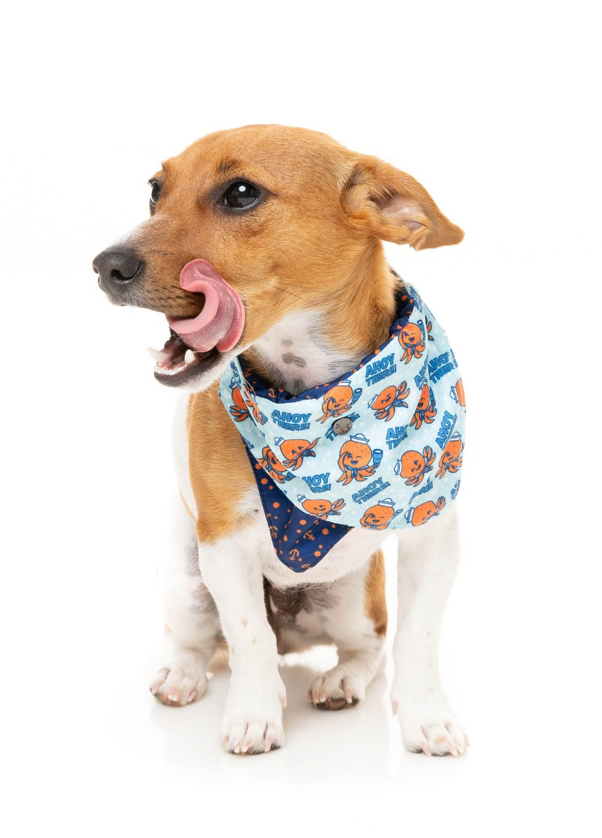 Ahoy There! - Bandana by FuzzYard