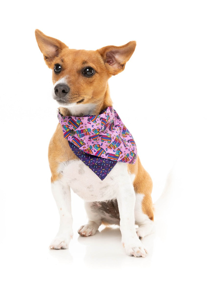 FuzzYard Fiesta - Bandana by FuzzYard