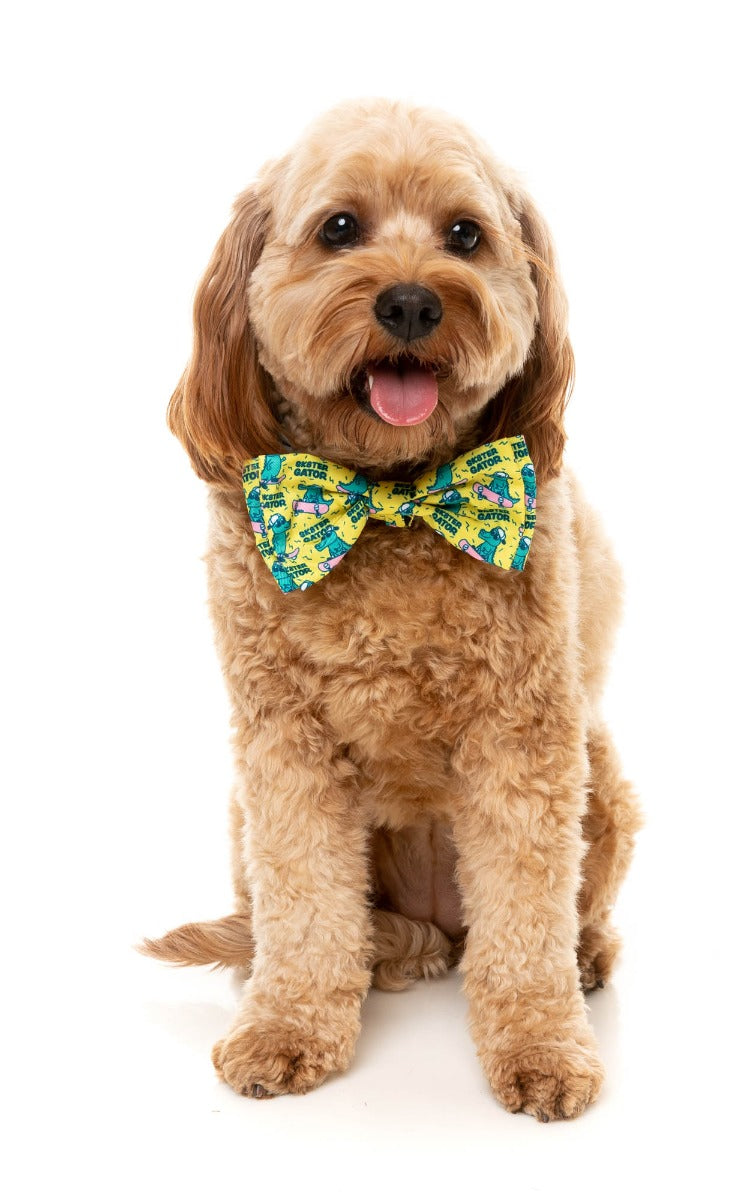 Sk8ter Gator - Bowtie by FuzzYard