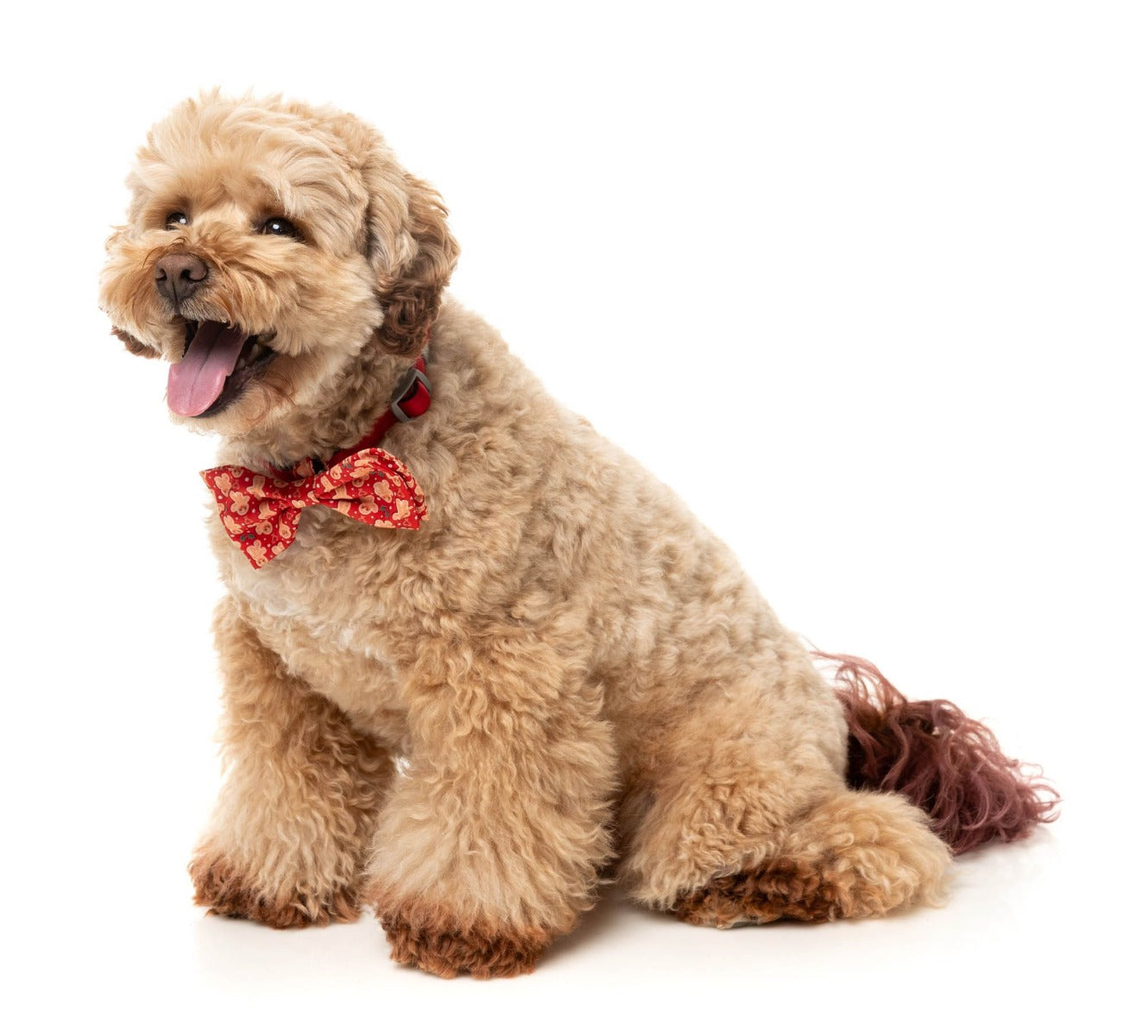 Holly Jolly Cookies - Dog 2 Pack