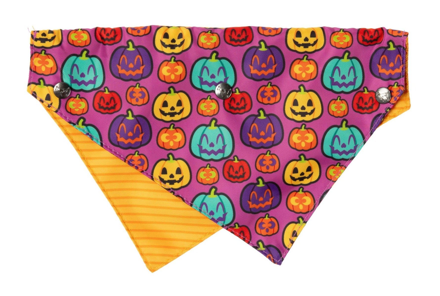Oh My Gourd! - Dog 2 Pack