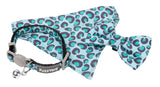 Wild One Aqua - Cat Fashion Pack by FuzzYard