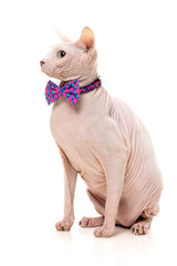 Wild One Bubblegum - Cat Fashion Pack by FuzzYard