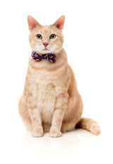 Caturday Night Fever - Cat Fashion Pack by FuzzYard