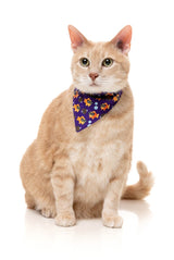 Caturday Night Fever - Cat Fashion Pack by FuzzYard
