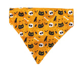 Spooky Kitty - Cat Fashion Pack by FuzzYard