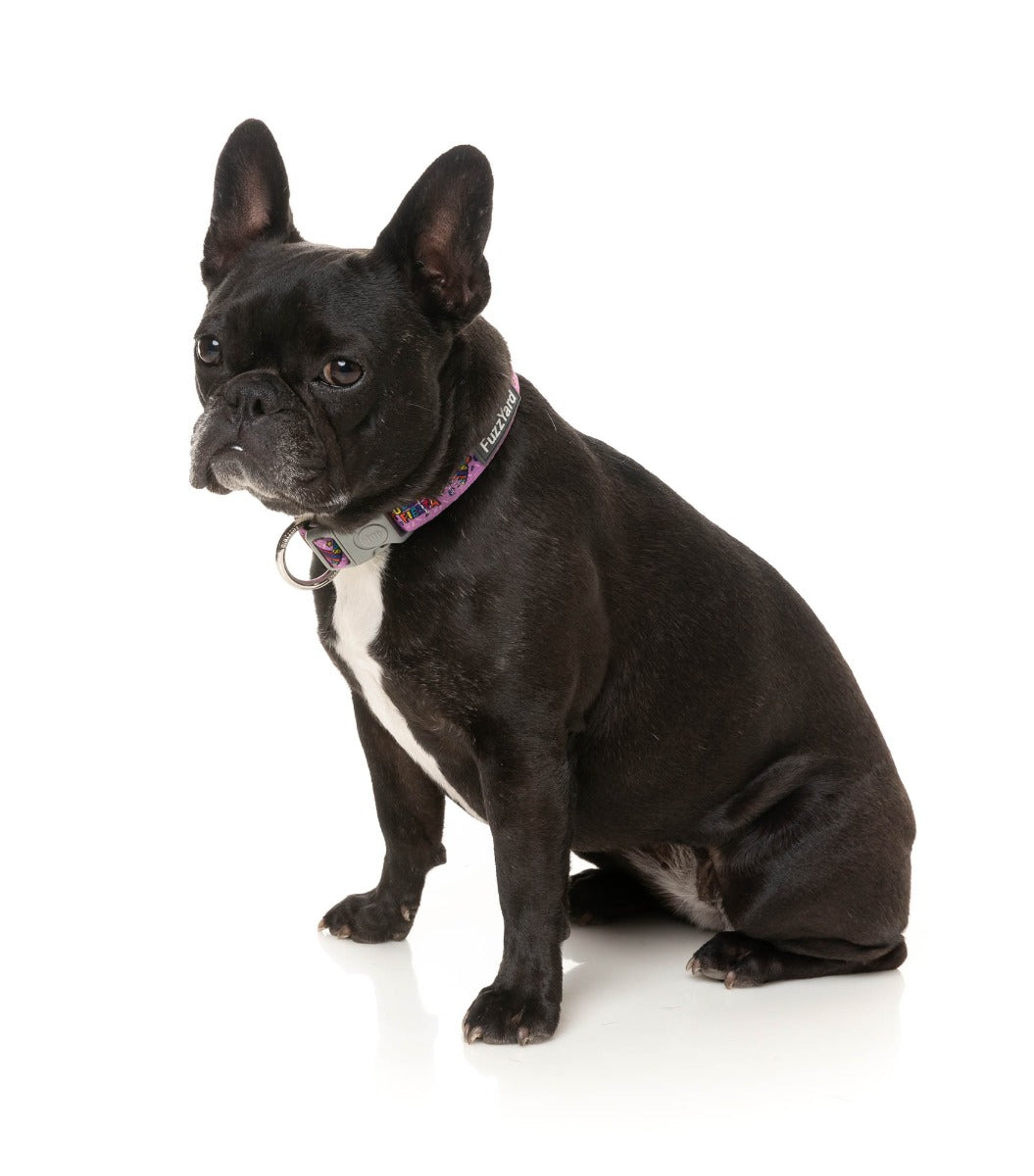 FuzzYard Fiesta - Dog Collar by FuzzYard