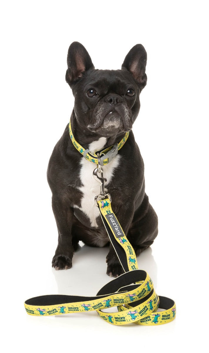 Sk8ter Gator - Dog Lead by FuzzYard