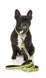 Sk8ter Gator - Dog Lead by FuzzYard