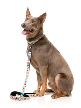 Tinsel Time - Dog Lead