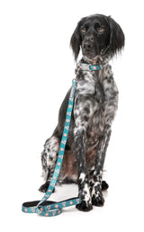 I Heart Candy Canes - Dog Lead
